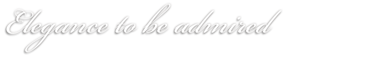 aleigh-frontpage-text-b